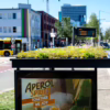 A City in Germany Has Created Bee-Friendly Bus Stops