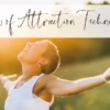 Law of Attraction Techniques