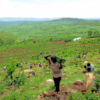 A Village in Rwanda Has Restored a Degraded Hillside into a Thriving Forest