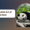 The Subtle Art of Mental Rest
